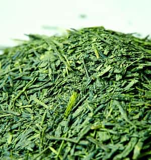 Organic Green Ecstasy Matcha and Sencha Green Tea Blend